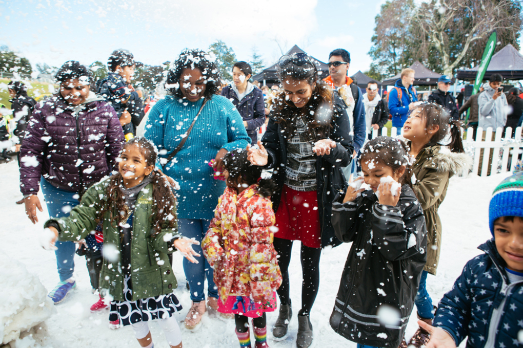 Snow in the Park