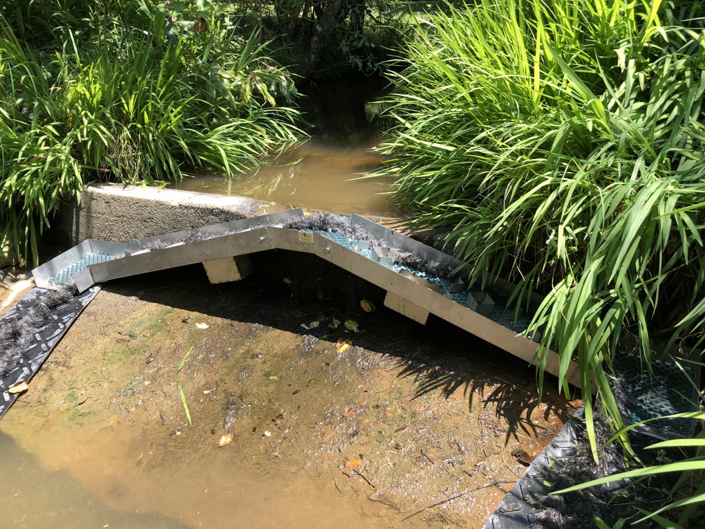 Whitebait Weir