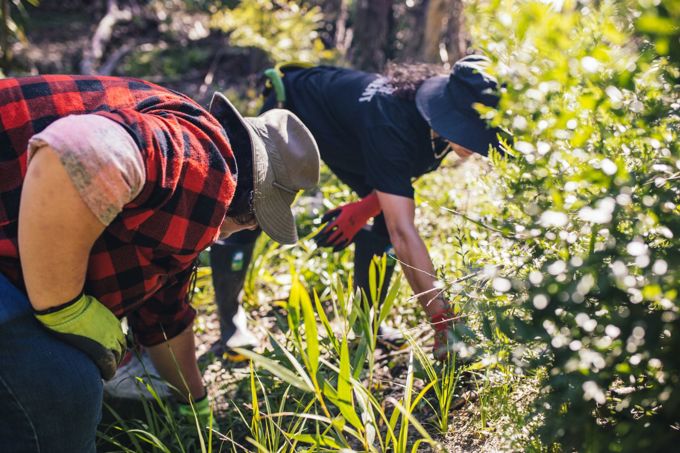 2601 Green Bay Stream Care 9738 2k - web_5d1oyfrh.jpg