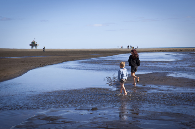 Bethells Beach