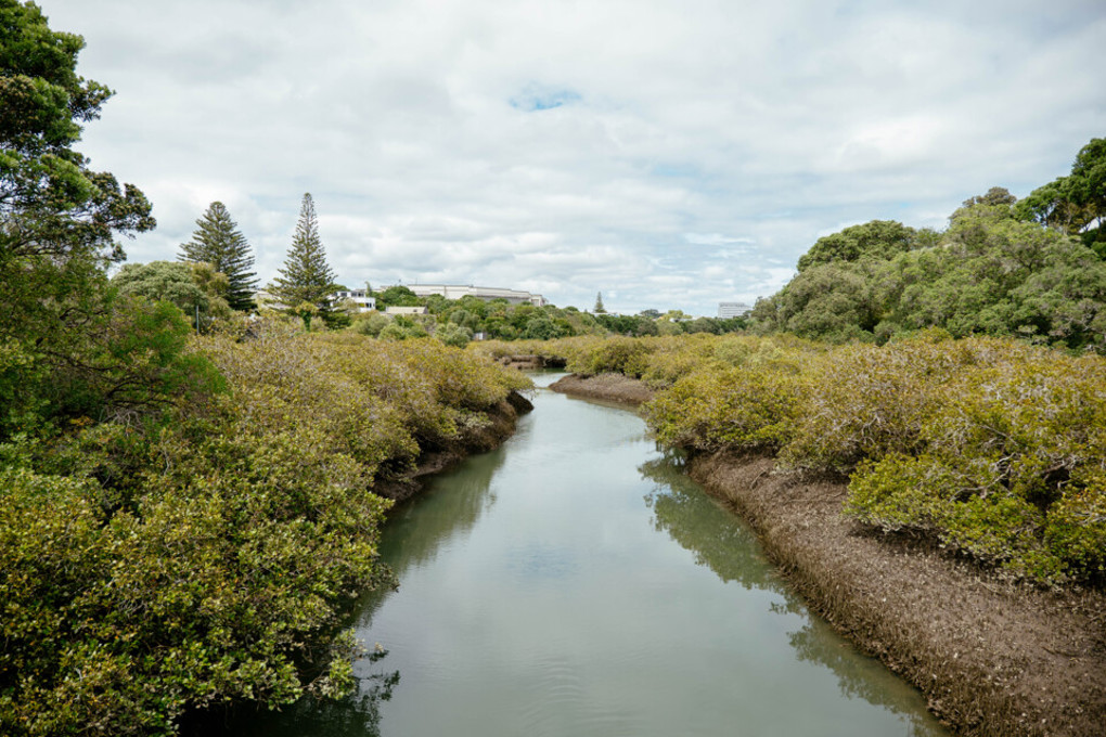 Recovery budget delivers for North Shore3
