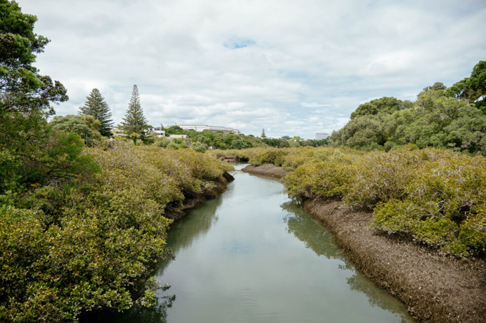 Recovery budget delivers for North Shore3