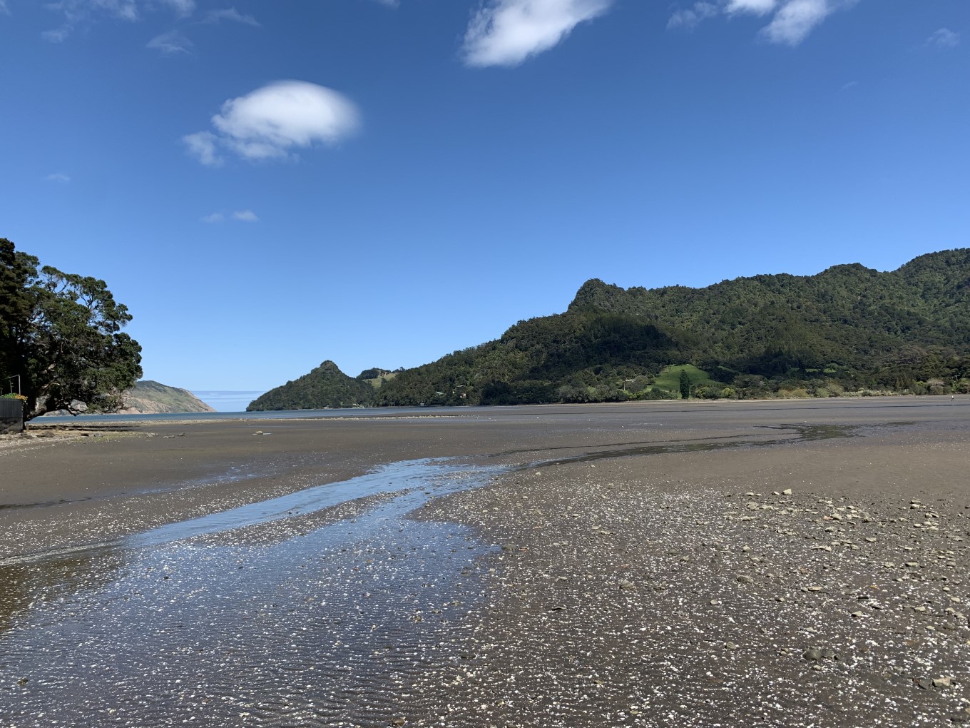 View of wetlands and sand. 