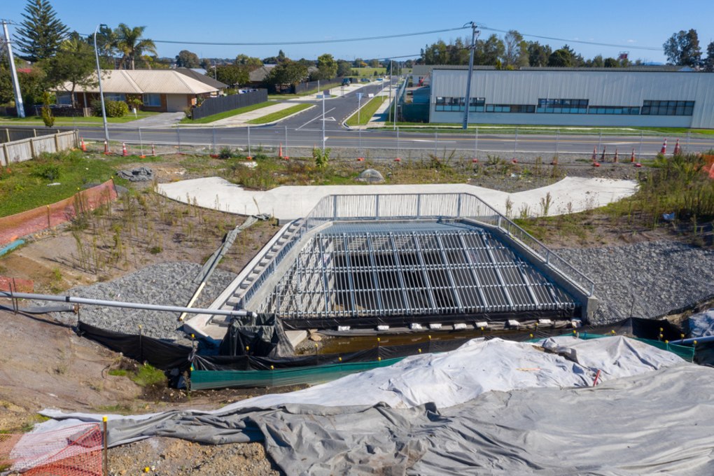 Environmental projects supported by Papakura funding