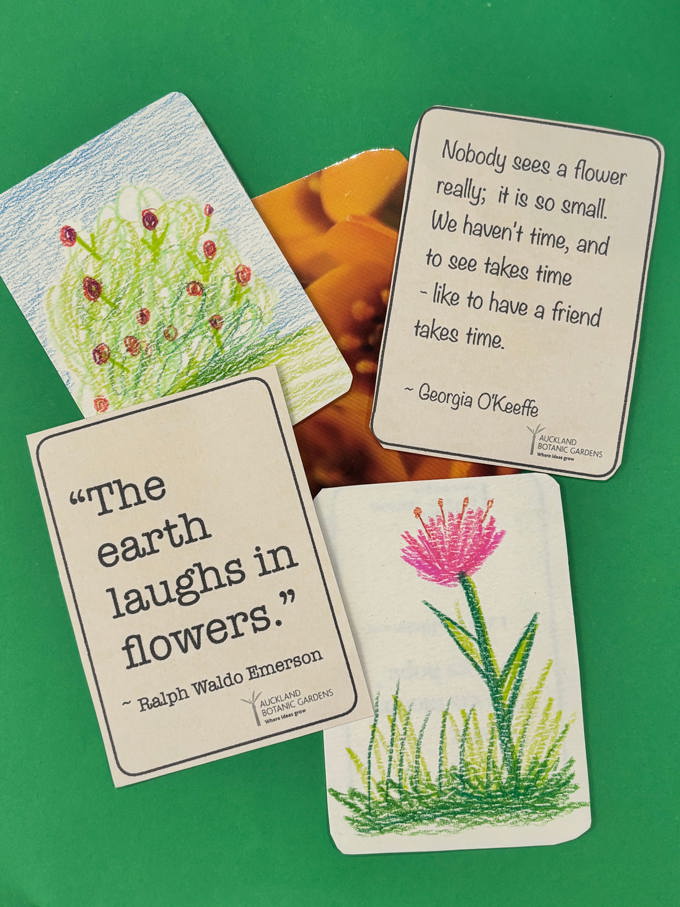 Flowertrading cards_sgyytqfm.jpg