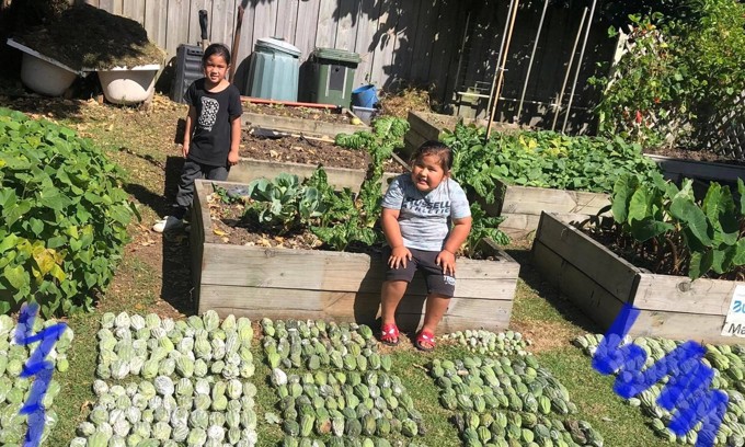 Children planting kai in local garden