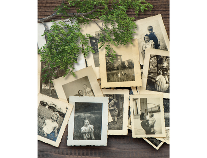 Our AKL - Family Tree Maker_fe0asakl.png