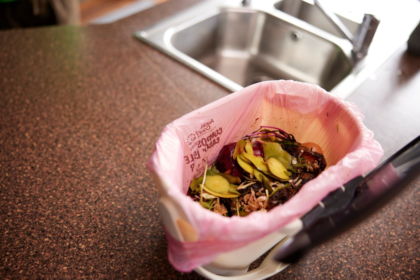 Food scraps caddy bin. 
