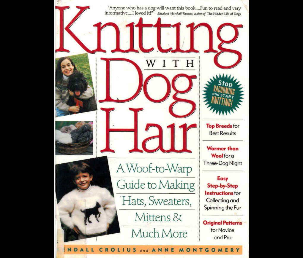Quirky doghair