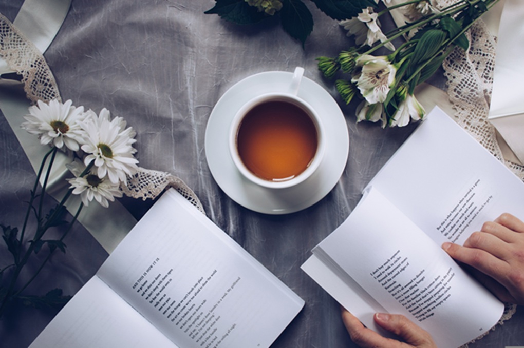pixabay image for book chats resized smaller_g3hfj4zy.jpg