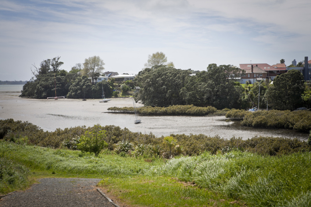 Auckland walks to do this winter (4)