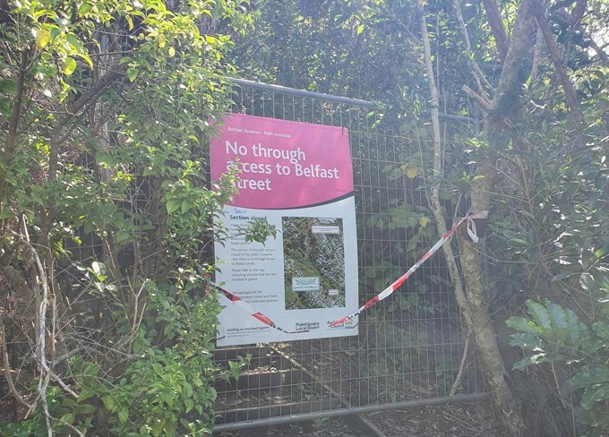 Fallen tree used to improve native fish habitat at Belfast Reserve
