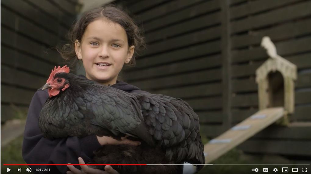 Enviroschool video