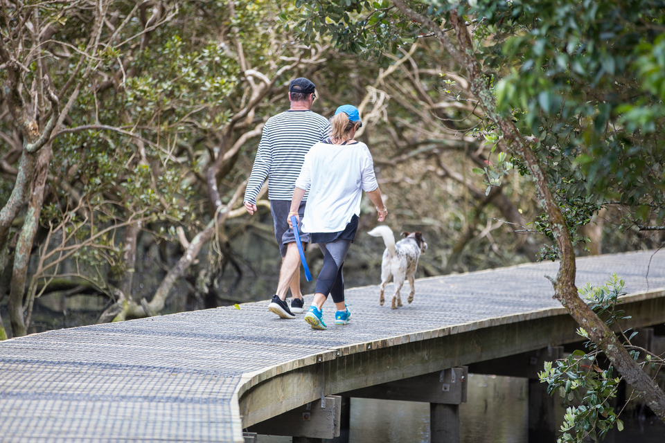 A man and woman walking a dog off leash on a boardwalk in a swampy area.