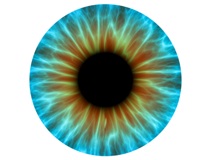 Our AKL - Macular Degeneration for Mandarin Speakers_phdwifrl.png