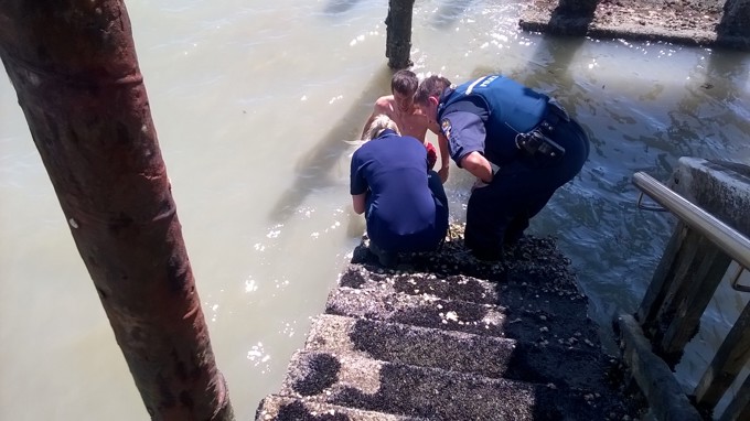 Seagull rescue comes off without a hitch (1).jpg