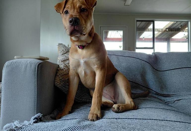 301421F1 E43e 493B 84C9 1Bd0652710db