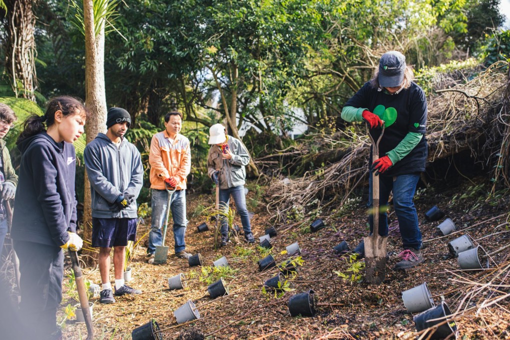 Sunnyside Stream Planting