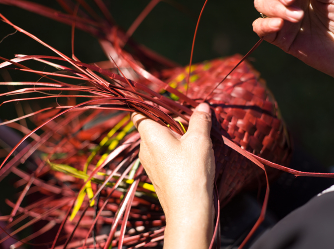 Boards unite for Tuia journey