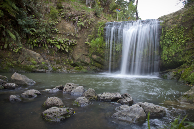 Albert-Eden Out and About 7
