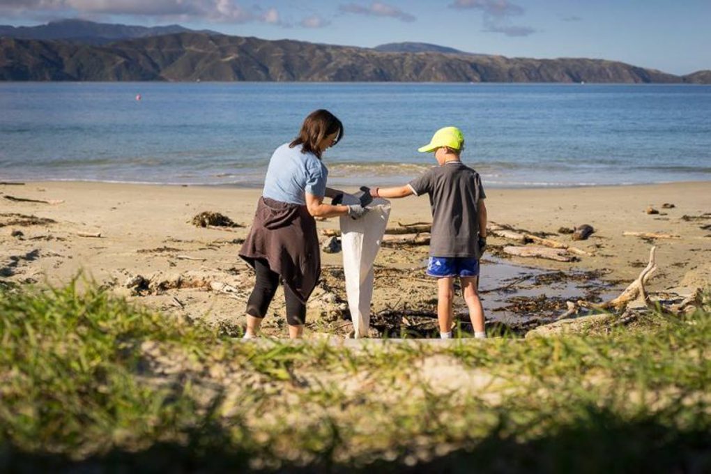 Seaweek volunteers needed for Manukau Harbour tidy
