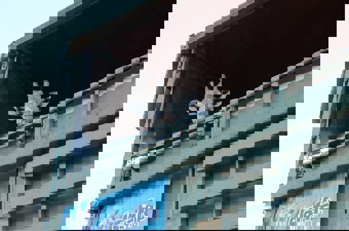 Zoo Tales: Giraffes on the move (1)