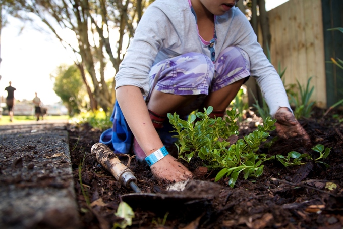 Growing healthy neighbourhoods