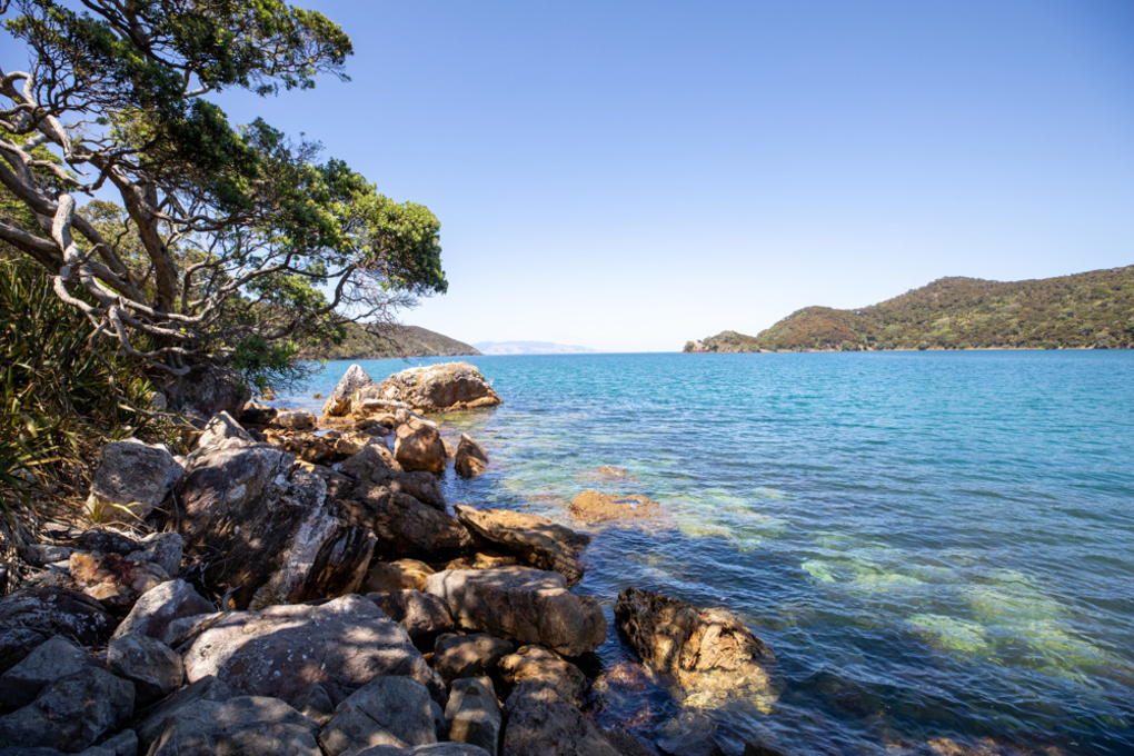 Rocky coastline