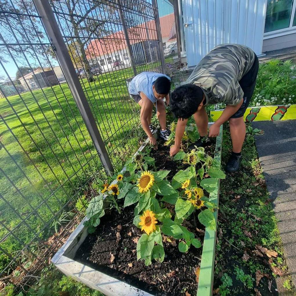 Local community garden