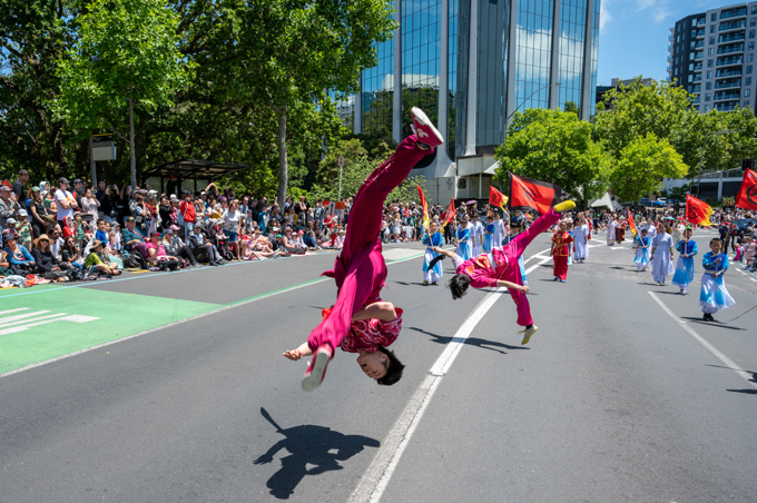 Federation Of Chinese Associations Of NZ Walking Group