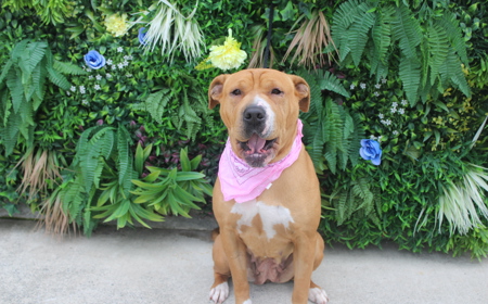 Maggie tile image