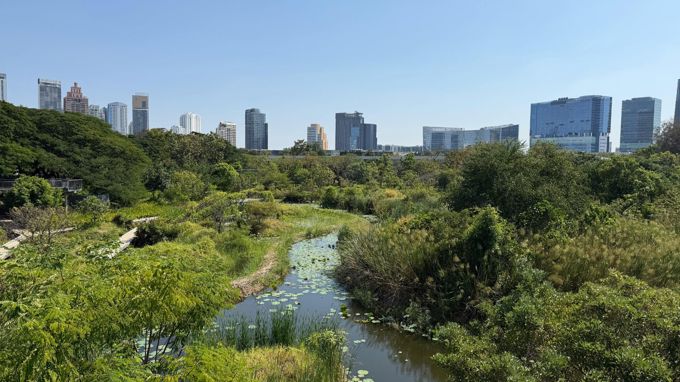 Sponge Gardening For Flood Resilience (1)