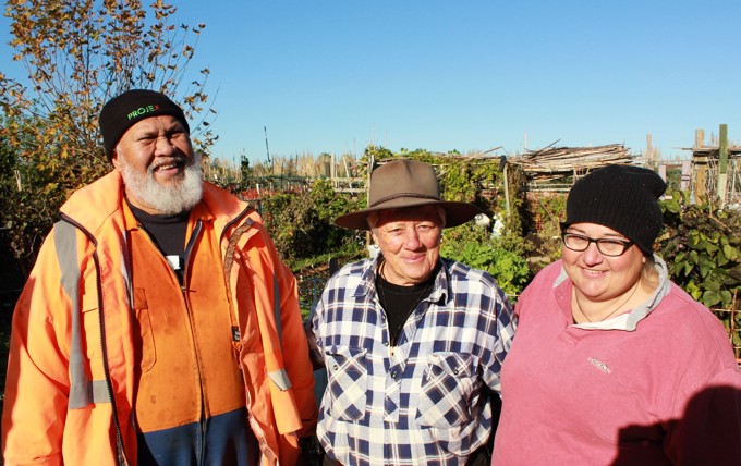 Mangere's Old School Teaching Garden mentors