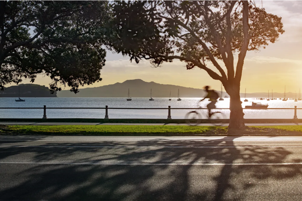 Cyclists