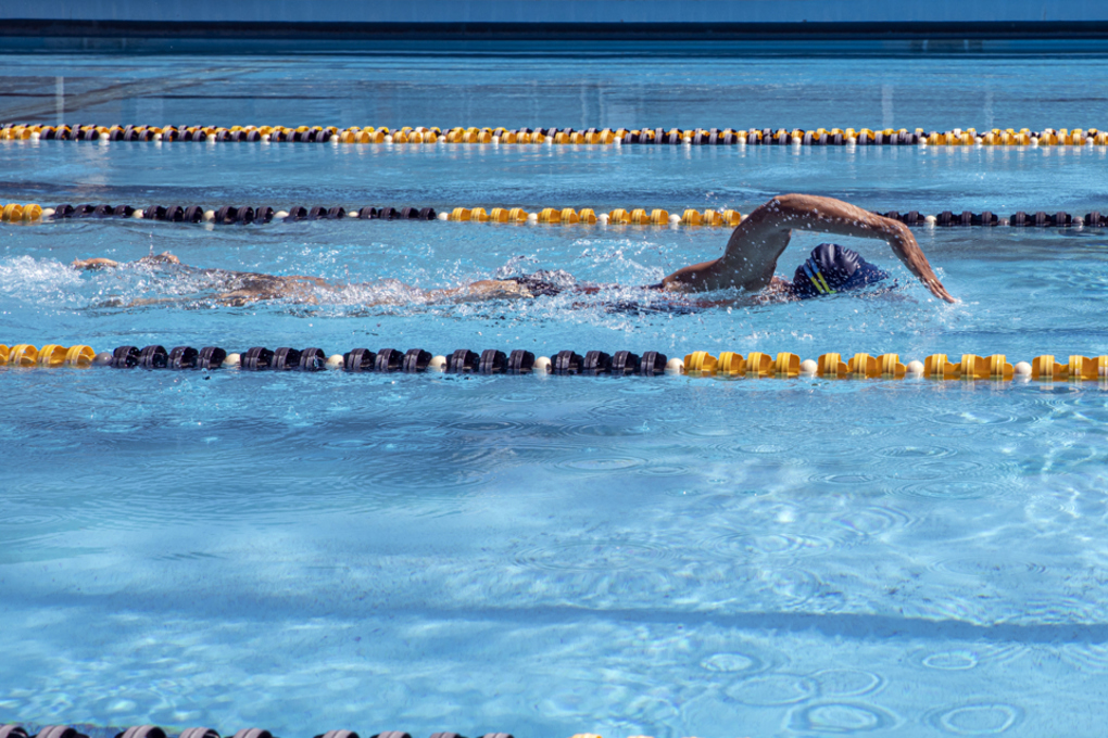 Swimmer