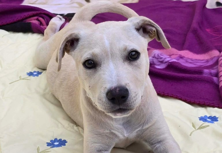 668380301 1314190577255169 8999302270070241350 N