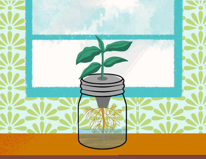 Eco Fest Our Auckland Graphic_0qmt4vxn.png