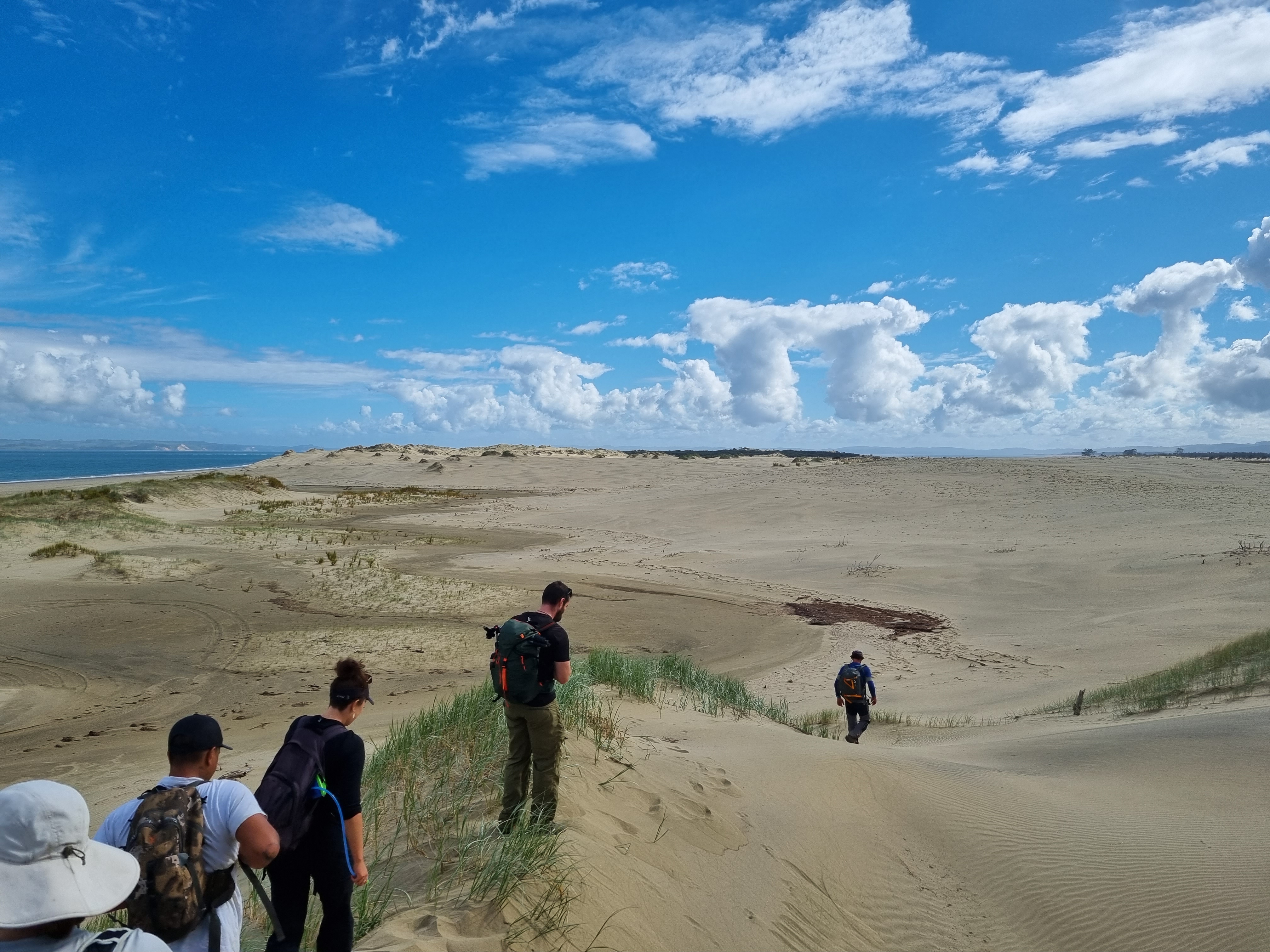 Research team walking the beach