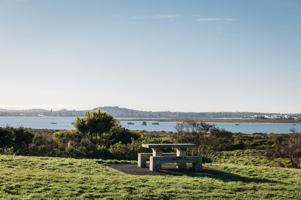 Auckland walks to do this winter (2)