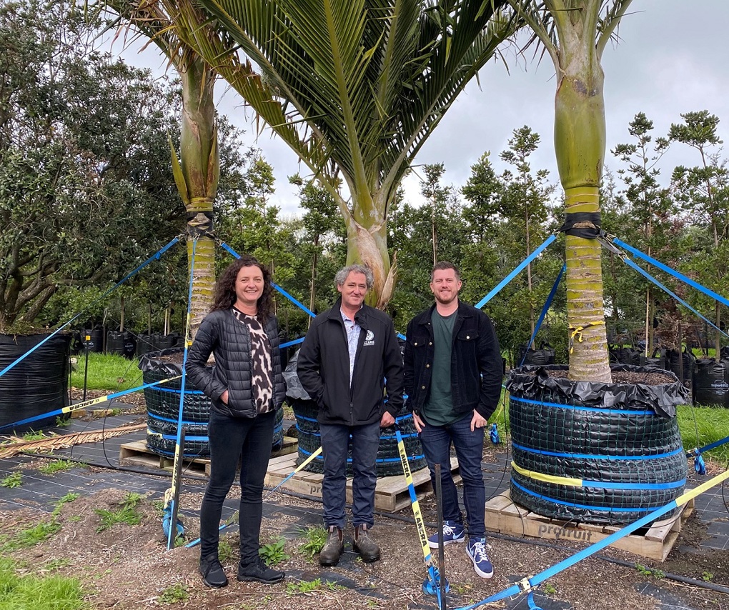 Growing the urban ngahere years in the making