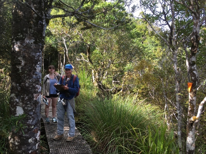 Aotea Bird Count