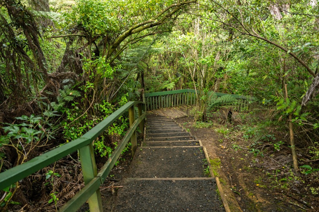 Manutewhau Path