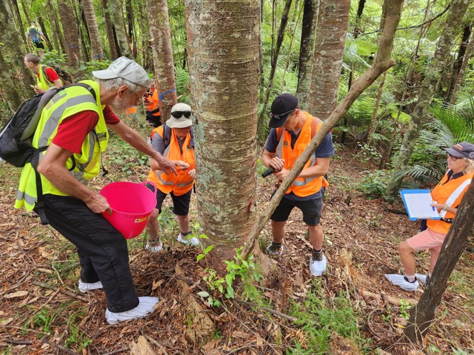 Awhitu Landscaping Project