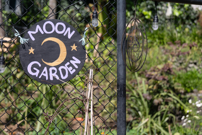 Albert Eden Sustainable Garden Trail 2