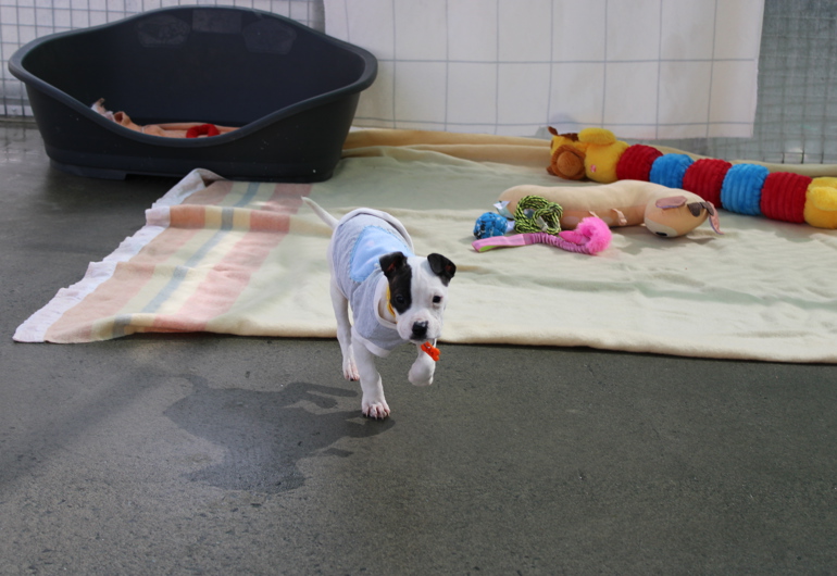 IMG 1036