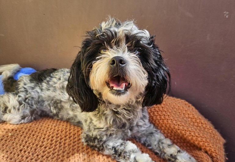 Media 2026 04 02T140150.772