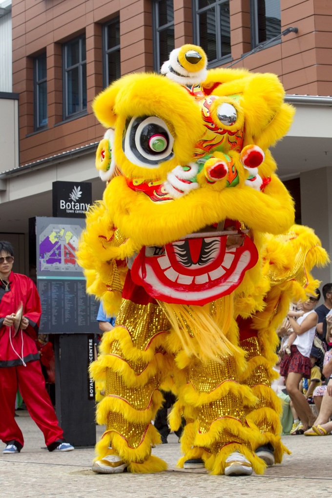 All set for Year of the Pig in Howick (1)