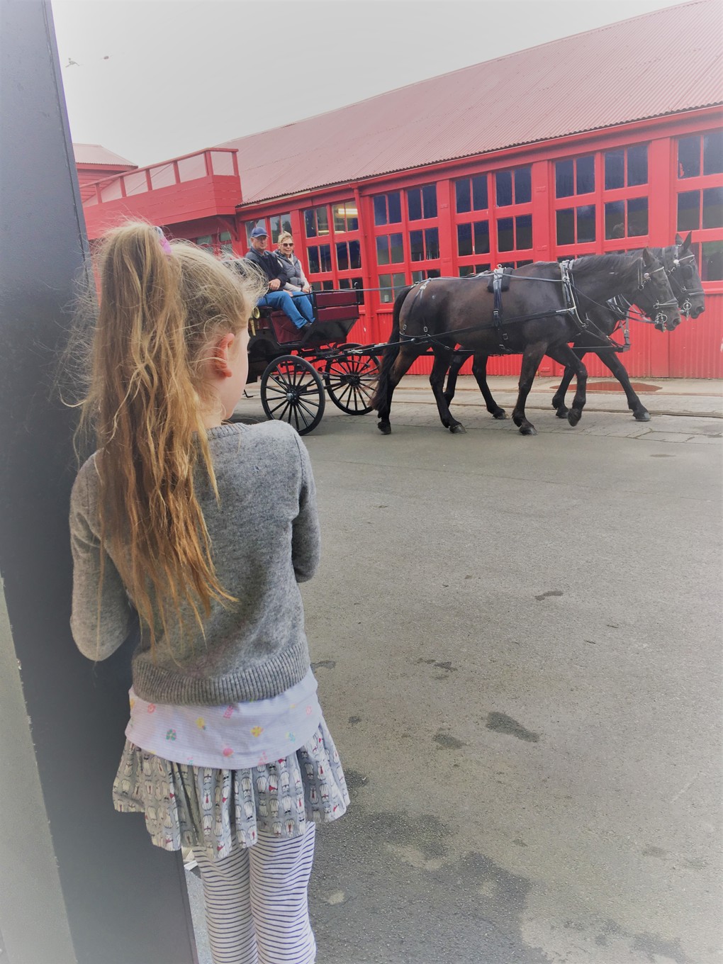 Horse And Cart Rides