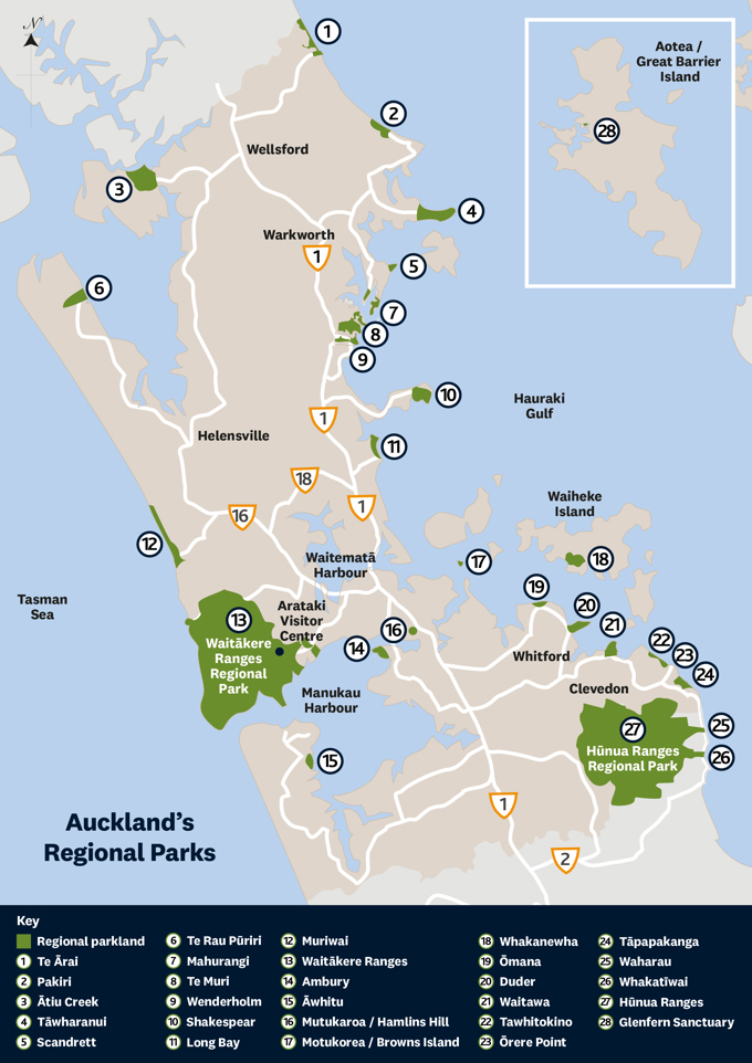Have your say on how we manage Auckland's regional parks (1)