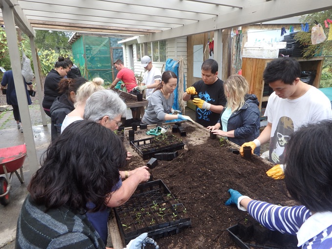 Kapatiki Project A.jpg